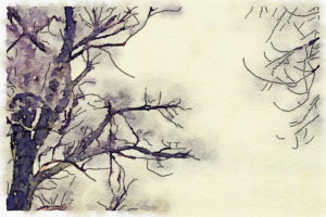 trees watercolor